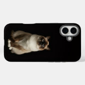 Schwarz 4 Luxe iPhone 16 Plus, Birma-Katze Case-Mate iPhone Hülle (Rückseite (Horizontal))