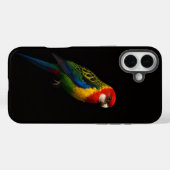 Schwarz 4 Luxe iPhone 16 Plus, Östliche Rosella Case-Mate iPhone Hülle (Rückseite (Horizontal))