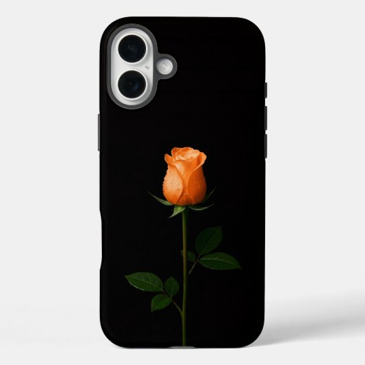 Schwarz 4 Luxe iPhone 16 Plus, Sonnenuntergangs-Or Case-Mate iPhone Hülle (Rückseite)