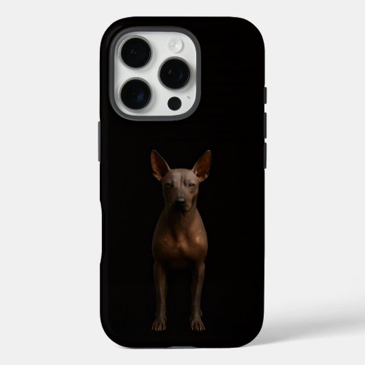 Schwarz 4 Luxe iPhone 16 Pro, Argentinischer Pila- Case-Mate iPhone Hülle (Rückseite)