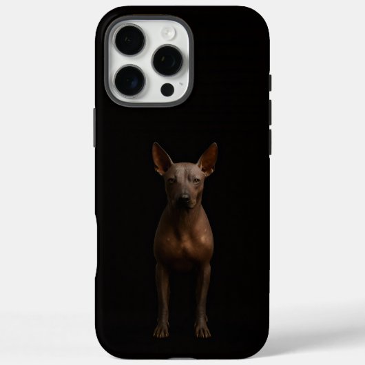 Schwarz 4 Luxe iPhone 16 Pro Max, Argentina Pila D Case-Mate iPhone Hülle (Rückseite)