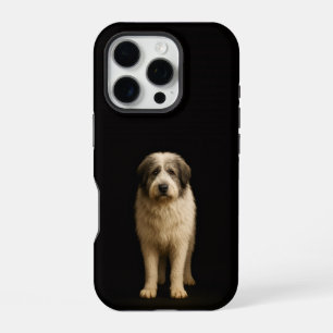 Schwarz 4 Luxe iPhone 16 Pro, Mioritic Shepherd Pro Hülle