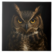 Schwarz 4 Luxus Tile mit Golden Eye Owl Fliese (Vorderseite)