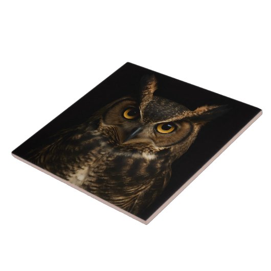 Schwarz 4 Luxus Tile mit Golden Eye Owl Fliese (Seite)