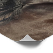 Schwarz-Andalusischer Headshot Mane Flows Poster (Ecke)
