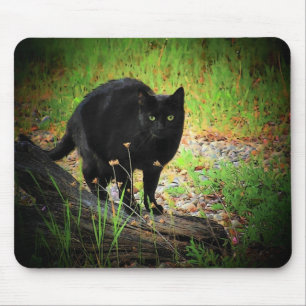 Schwarz auf der grünen gewölbten Schwarzen Katze Mousepad