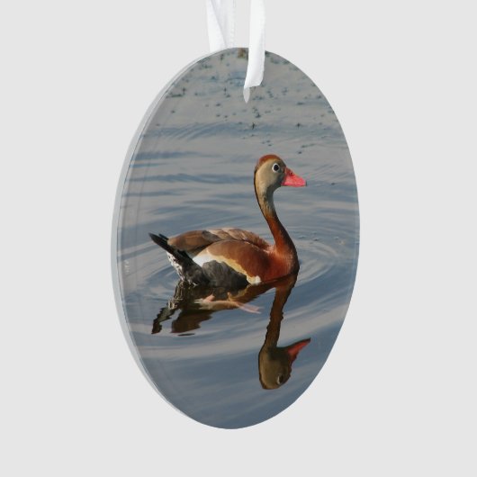 Schwarz-aufgeblähte Pfeifen-Ente Ornament (Vorderseite)