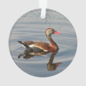 Schwarz-aufgeblähte Pfeifen-Ente Ornament (Rückseite)
