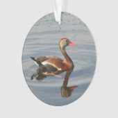 Schwarz-aufgeblähte Pfeifen-Ente Ornament (Vorderseite)