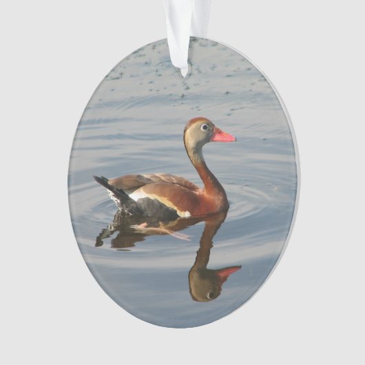 Schwarz-aufgeblähte Pfeifen-Ente Ornament (Vorderseite)