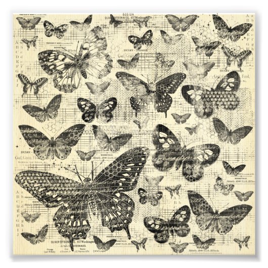 Schwarz-Beige, Schmetterlinge, Vintag, Shabby Chic Fotodruck (Vorne)
