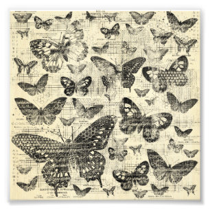Schwarz Beige, Schmetterlinge, Vintage, Shabby Chi Fotodruck