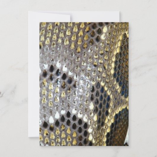 Schwarz-Beige-Tiermuster Schlangendruck Dankeskarte (Vorderseite)