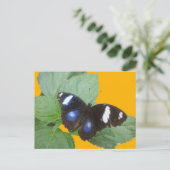 Schwarz, Blau Weiß Gepunktet Butterfly DIKT Postka Postkarte (Stehend Vorderseite)