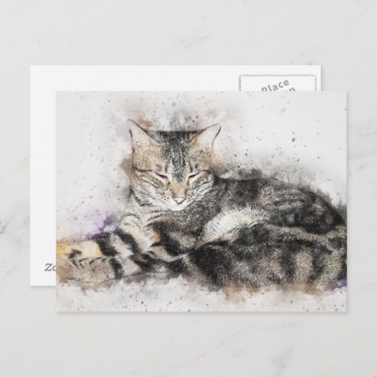 Schwarz-Braun-Weiße Katze Postkarte (Vorne/Hinten)