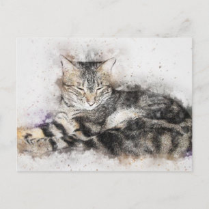 Schwarz-Braun-Weiße Katze Postkarte