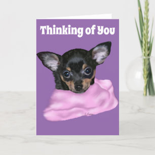 Schwarz-brauner Chihuahua-Welpe Karte