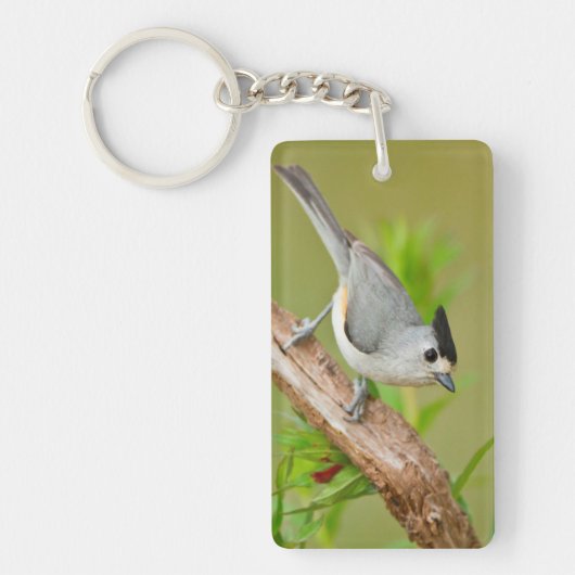Schwarz-Crested-Titmouse Schlüsselanhänger (Vorderseite)