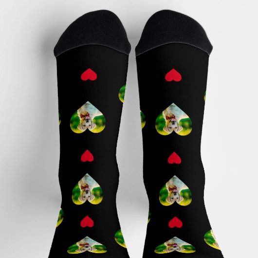 Schwarz des Musters "Muster für Heimtiere und Herz Socken (Oben)