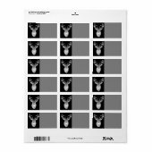 Schwarz-Design White Schwanz Deer Adressaufkleber (Vorne)