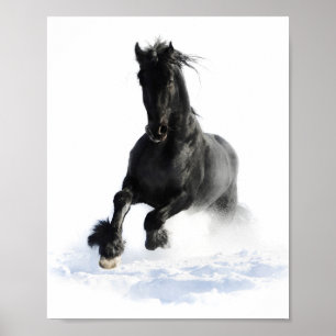 Schwarz Friesian Horse in Snow Decoupage Print Poster
