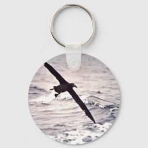 Schwarz-füßiger Albatros im Flug Schlüsselanhänger