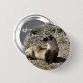 Schwarz-Füßiges Frettchen (Gefangener) Button (Vorne & Hinten)