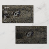 Schwarz-Füßiges Frettchen (Gefangener) Visitenkarte (Vorne/Hinten)