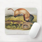 Schwarz-füßiges Frettchen Mousepad (Mit Mouse)