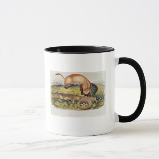 Schwarz-füßiges Frettchen Tasse (Rechts)