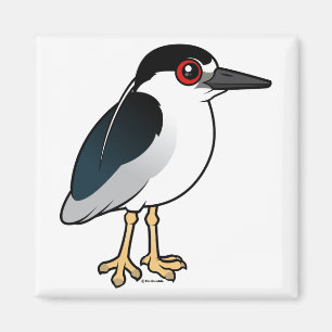 Schwarz-gekrönter Nachtreiher Magnet