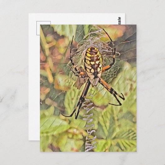 Schwarz-Gelb-Garten-Spider Wasserfarben-Malerei Postkarte (Vorne/Hinten)