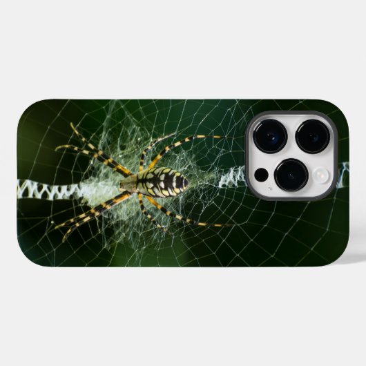 Schwarz-Gelb-Gartenspinne Case-Mate iPhone Hülle (Rückseite (Horizontal))