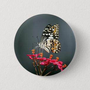 Schwarz-Gelb-Schmetterling auf rosa Blume Button