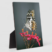 Schwarz-Gelb-Schmetterling auf rosa Blume Fotoplatte (Seite)