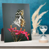 Schwarz-Gelb-Schmetterling auf rosa Blume Fotoplatte (Seite)