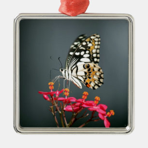 Schwarz-Gelb-Schmetterling auf rosa Blume Ornament Aus Metall
