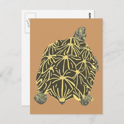 Schwarz-Gelb-Star-Tortoise, Postkarten malen (Vorne/Hinten)