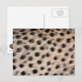 Schwarz-gepunkteter Gepard-Pelz oder Skin Textur-V Postkarte (Vorne/Hinten)