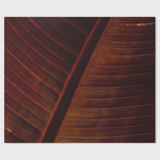 Schwarz Geschenkpapier (Flach)