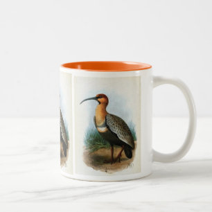Schwarz-gesichtige Vintage Illustration IBIS Zweifarbige Tasse
