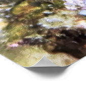 Schwarz-Gold-Damselfish Poster (Ecke)