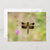 Schwarz-Gold-Dragonfly Postkarte (Vorne/Hinten)