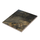 Schwarz-Gold-Granit Fliese (Seite)