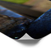 Schwarz & Gold (Lilie) [Kunstdruck] Poster (Ecke)