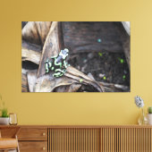 Schwarz-grüner Laubfrosch Leinwanddruck (Insitu (Wohnzimmer))