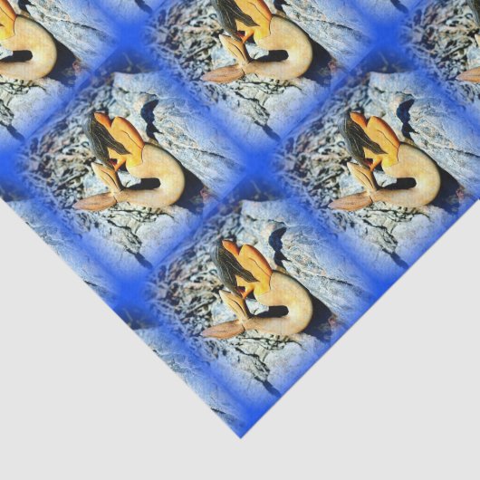 schwarz-haariges Meerjungfraublau Seidenpapier (Ausschnitt)