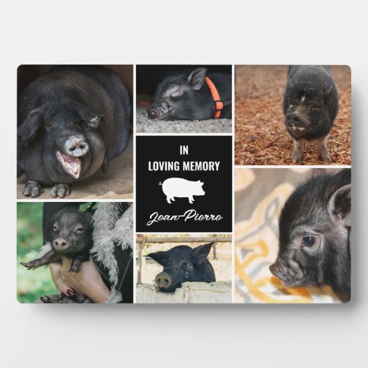 Schwarz in Love Memory Pet Pig FotoCollage Fotoplatte (Vorderseite)