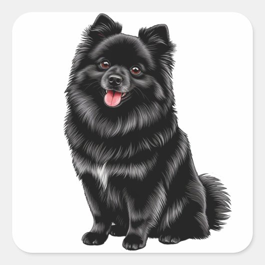 Schwarz-Japanischer Spitz Quadratischer Aufkleber (Vorderseite)