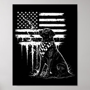 Schwarz Labrador Lab Amerikanische Flagge Illustra Poster